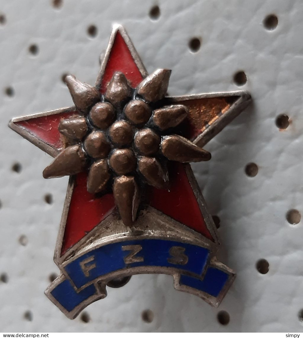 Slovenian Physical Culture Association FZS Slovenska Fizkulturna Zveza  EDELWEISS Vintage Pin - Alpinisme, Beklimming