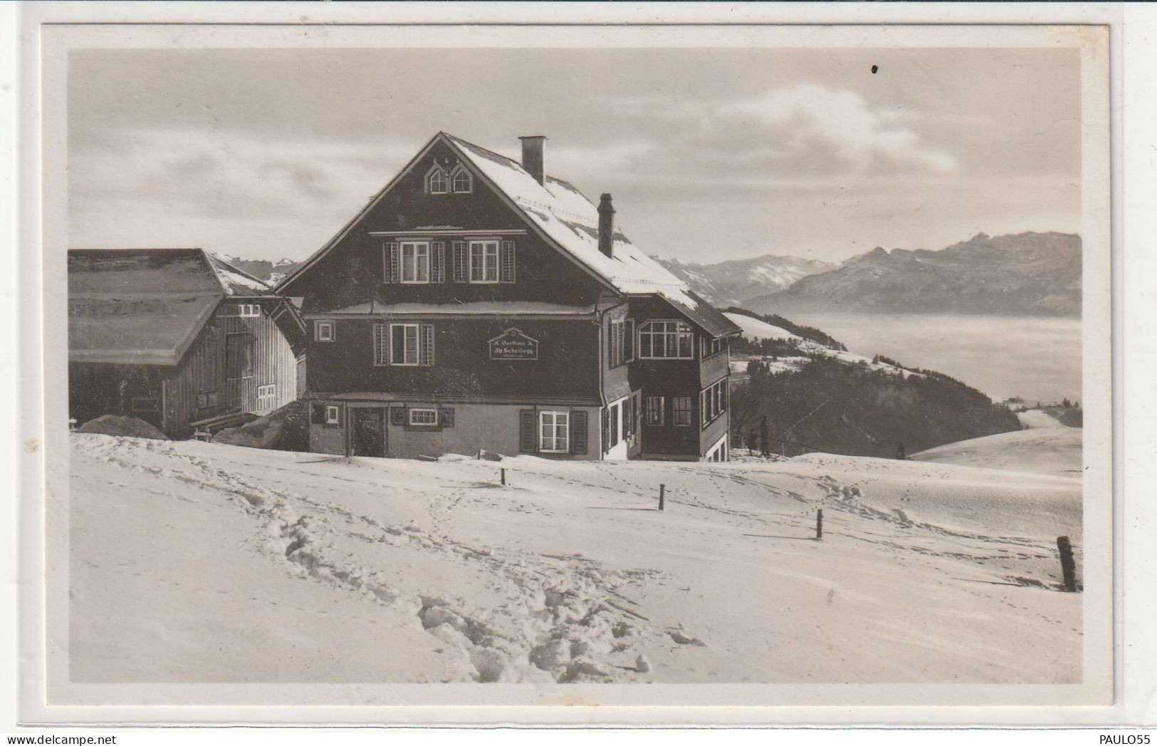 ALP SCHEIDEGG OB WALD - Wald