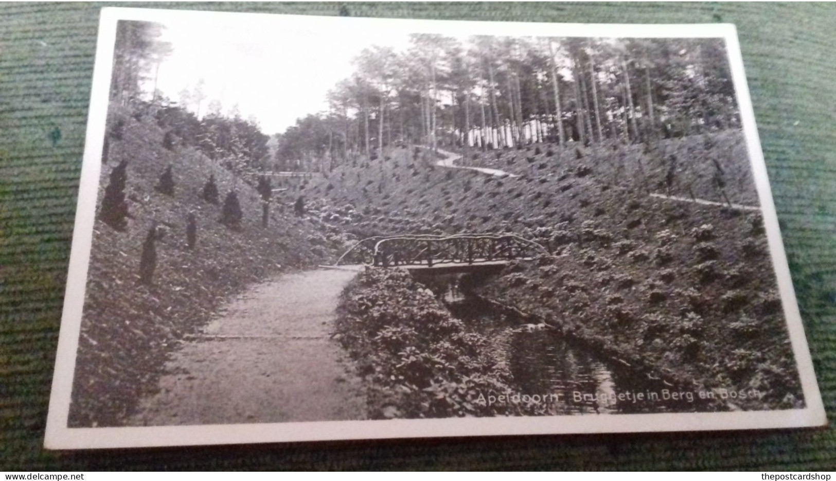 NETHERLANDS Apeldoorn Bruggetje En Berg Bosch USED TO A JENKIN 6 BUCKLAND CRESCENT BELSIZE PARK LONDON - Apeldoorn