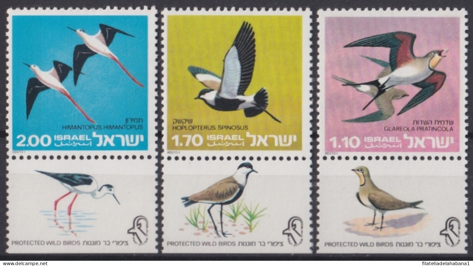 F-EX46732 ISRAEL MNH 1975 WILD BIRD AVES OISEAUX VOGEL.  - Collections, Lots & Series