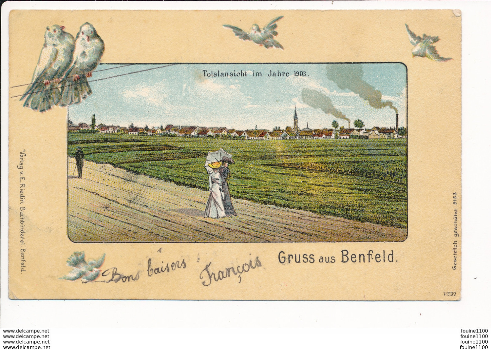 GRUSS AUS BENFELD  Totalansicht  Im Jahre  1903 ( Carte Fantaisie Oiseaux ) - Benfeld