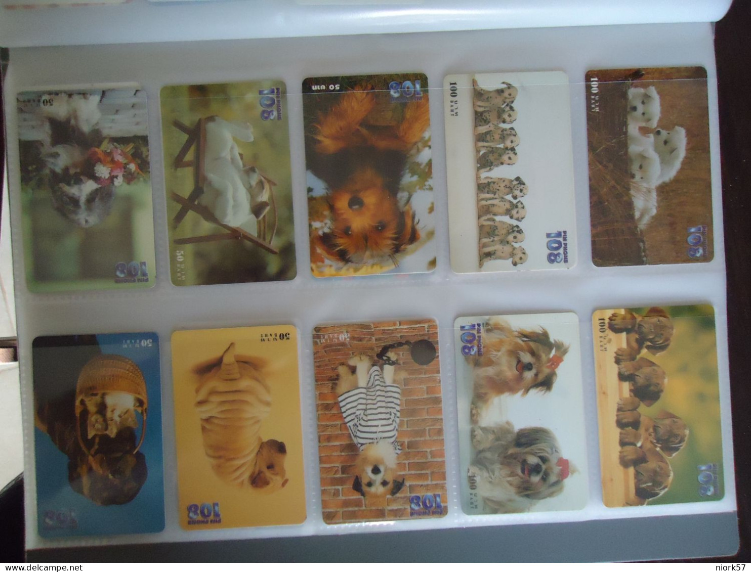 THAILAND USED SET 10   CARDS PIN 108 ANIMALS DOG DOGS - Cani