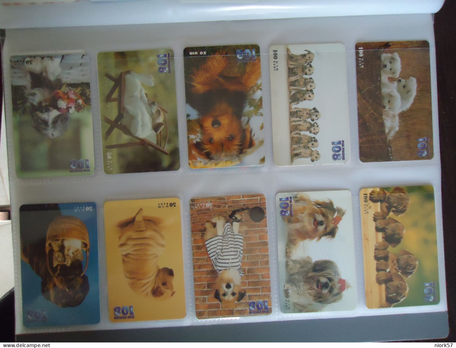 THAILAND USED SET 10   CARDS PIN 108 ANIMALS DOG DOGS - Chiens