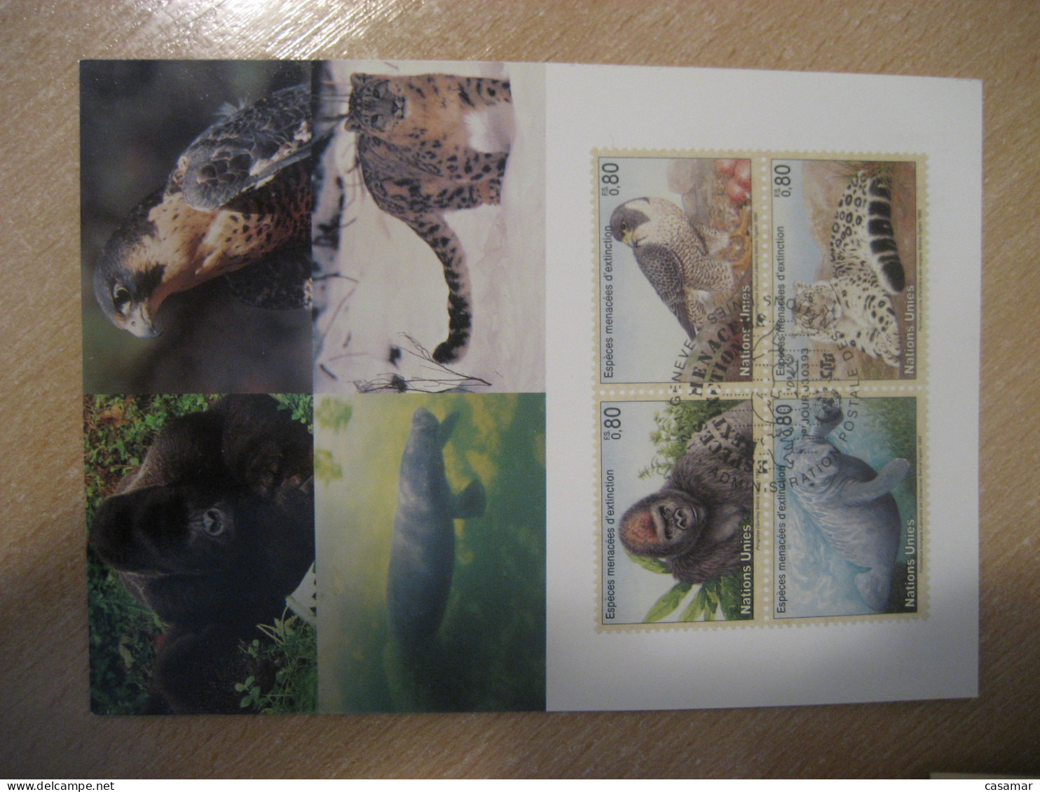 GENEVE 1993 Extinction Gorilla Gorillas Gorille Gorilles Falcon Panther Manatee Sea Cow Maxi Maximum Card UNITED NATIONS - Gorilas