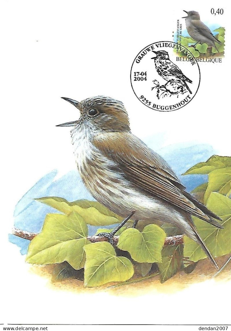 Belgium  - Buzin - Maximum Card 2004 Buggenhout : Spotted Flycatcher  -  Muscicapa Striata - 2001-2010