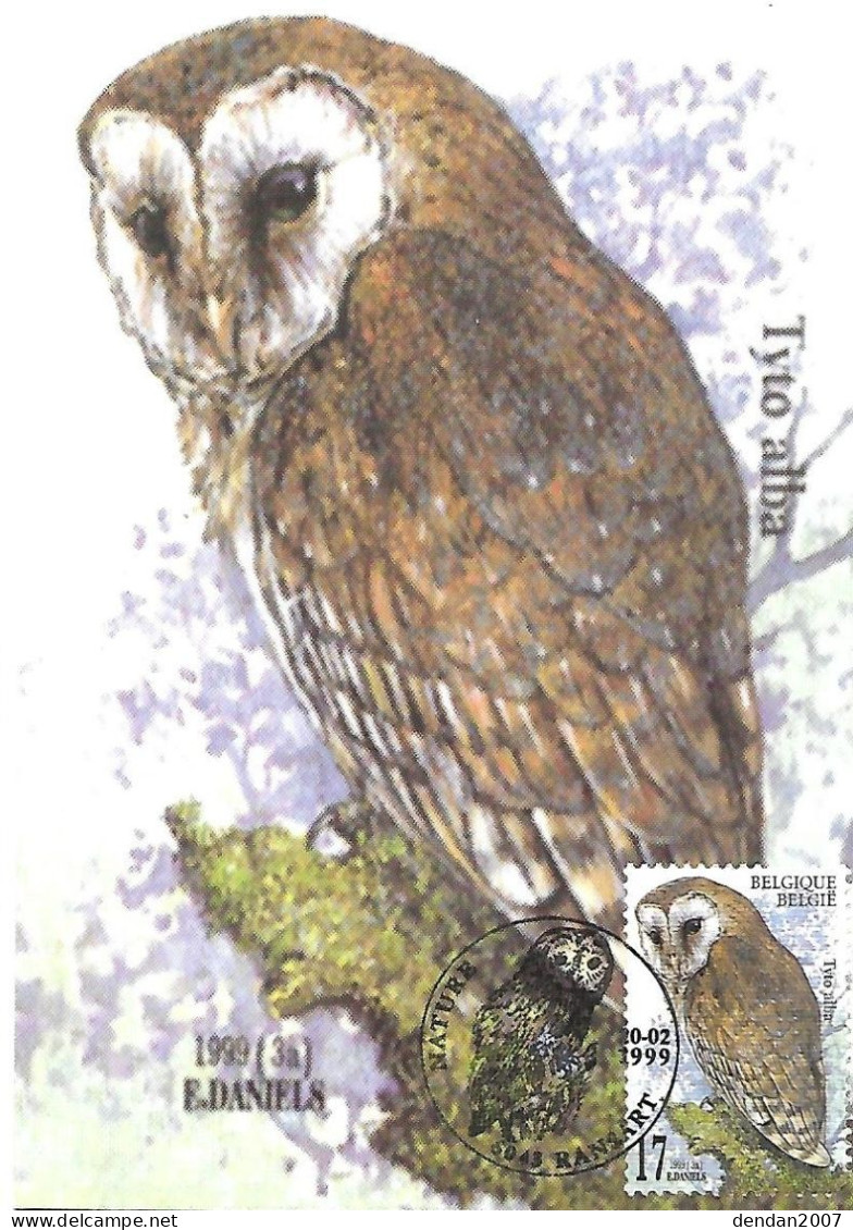 Belgium  - Daniels - Maximum Card 1999 Ransart : Western Barn Owl   - Tyto Alba - 1991-2000