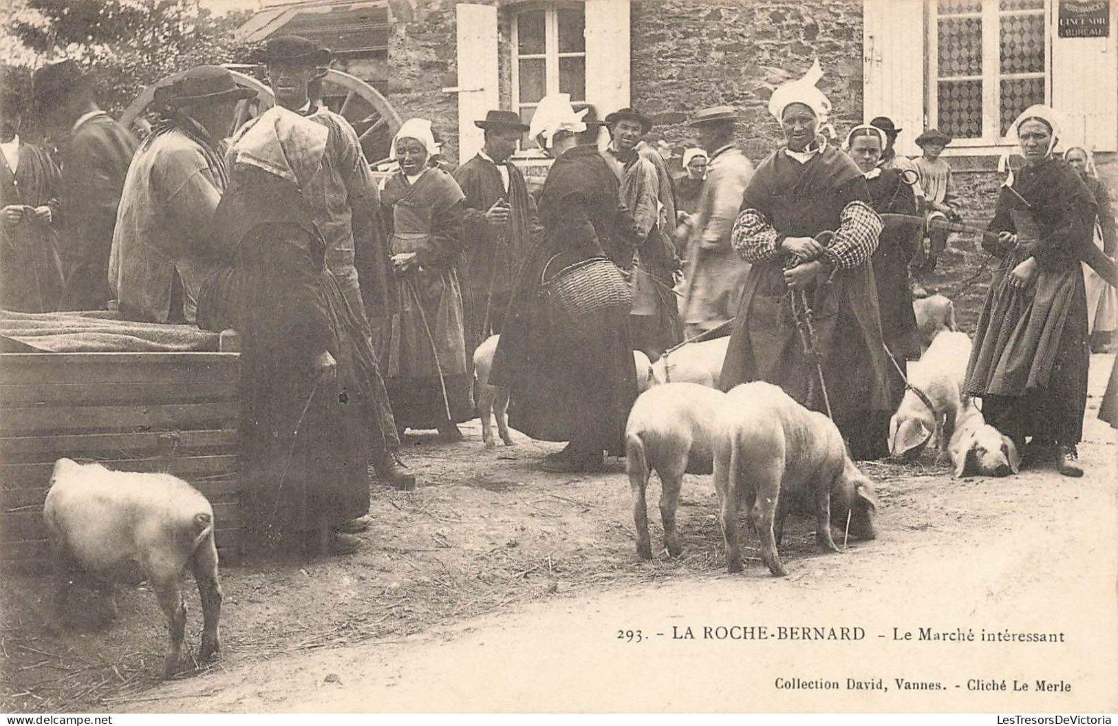 FRANCE - La Roche Bernard - Le Marché Intéressant - Cliché Le Merle - Animé - Cochons - Carte Postale Ancienne - La Roche-Bernard