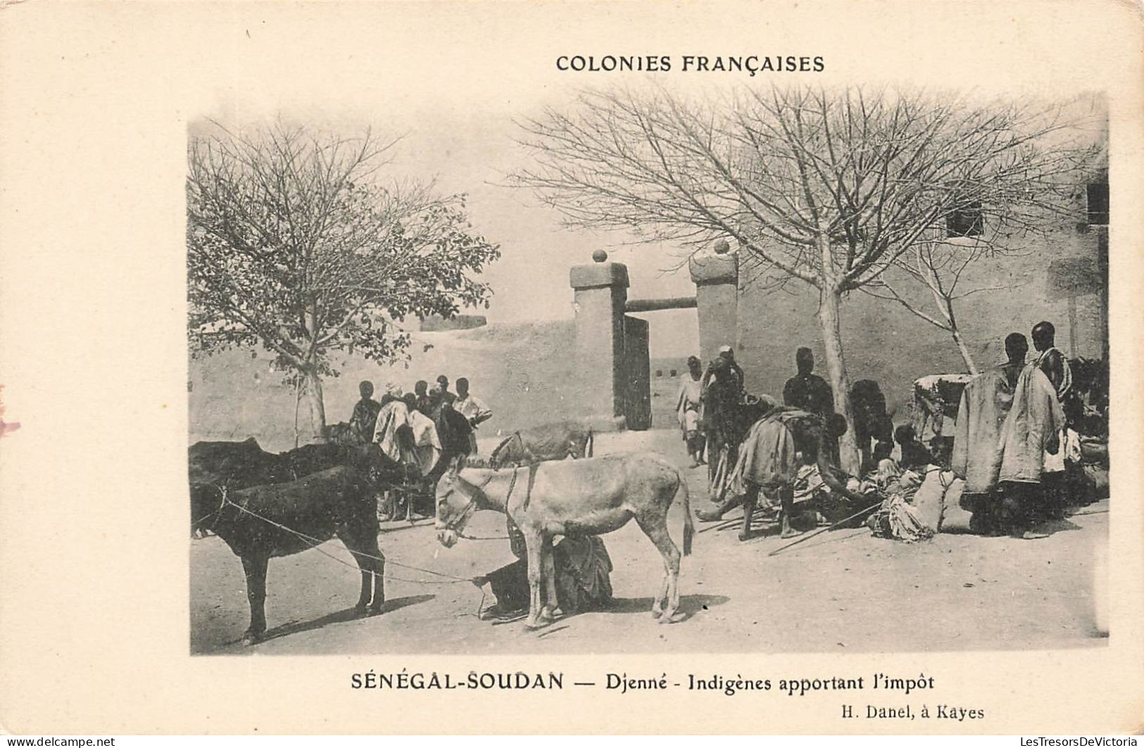 SENEGAL - SOUDAN - Colonies Françaises - Djenné - Indigènes Apportant L'impôt - H Danel - Animé - Carte Postale Ancienne - Sénégal