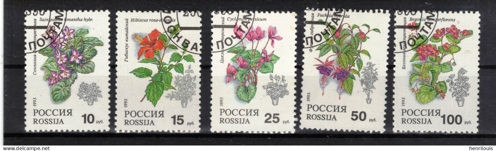 Russie   Timbres  De 1993  ( Ref 1332 H)  Flore - Fleurs - Used Stamps