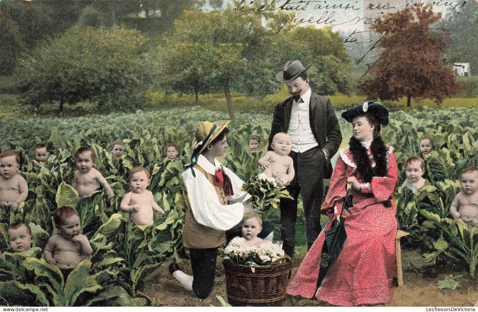 FANTAISIE - Bébé - Cueillette De Bébé Dans Les Choux - Couple Choisissant Un Bébé - Colorisé - Carte Postale Ancienne - Bébés