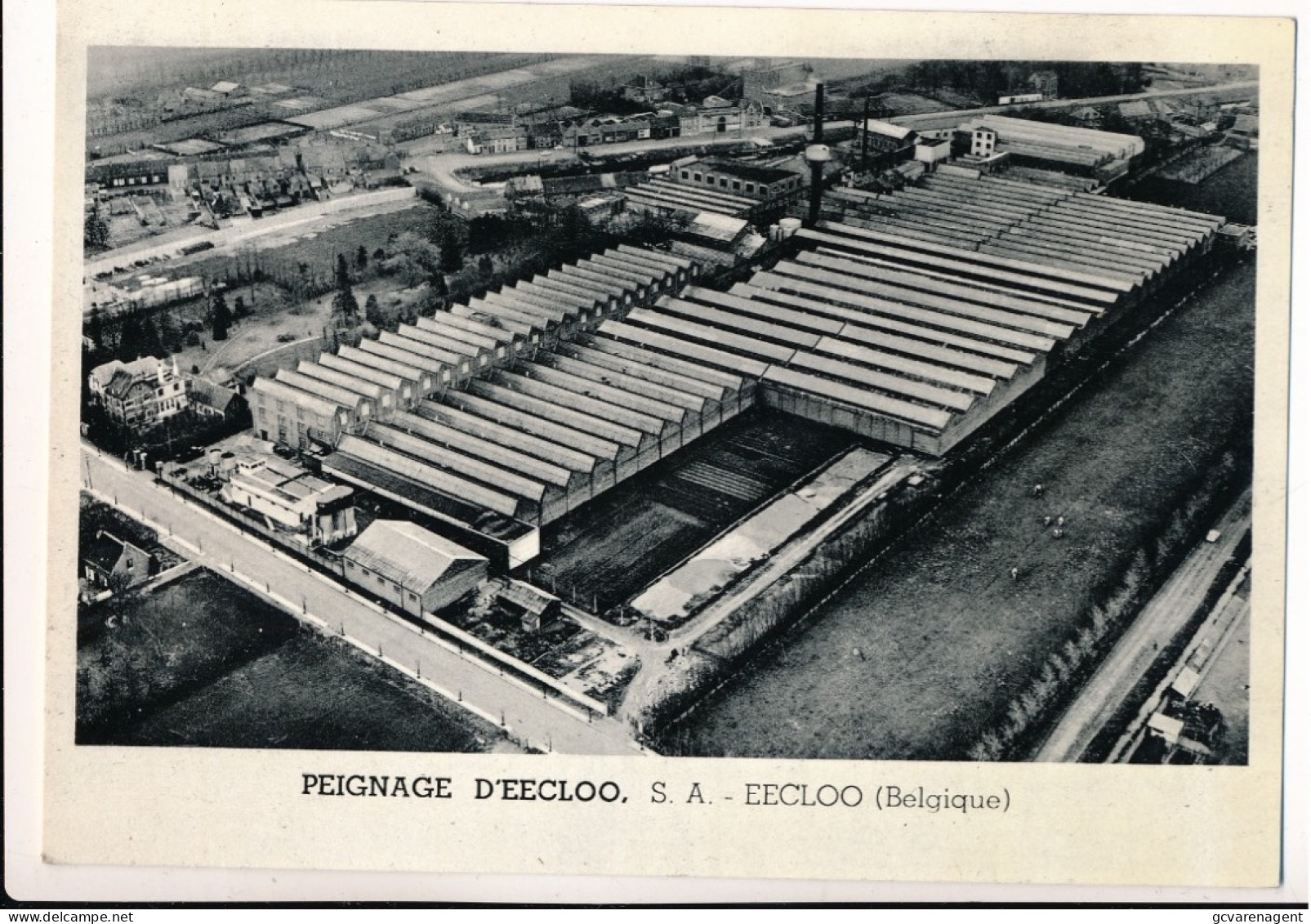 EEKLO  PEIGNAGE D'EECLOO  S.A.   2  SCANS - Eeklo