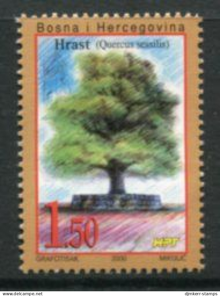BOSNIA HERCEGOVINA (CROAT) 2000 Oak Tree MNH / **.  Michel 61 - Bosnien-Herzegowina
