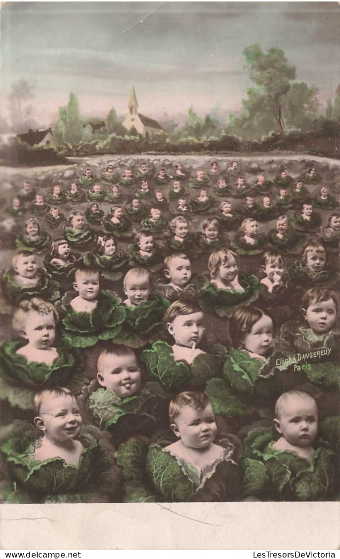 FANTAISIE - Bébés - Plantation De Choux Et De Bébés - Bébés Naissant Dans Les Choux - Carte Postale Ancienne - Bébés