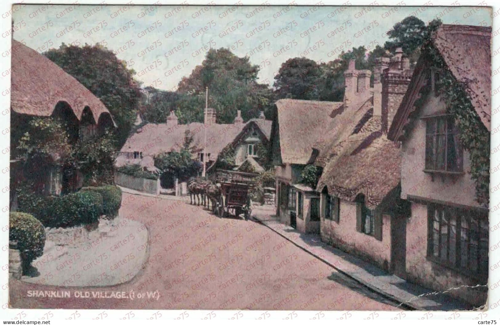 CPA Postcard Shanklin Old Village (I. Of W) Isle Of Wight United Kindom Scotland - Shanklin