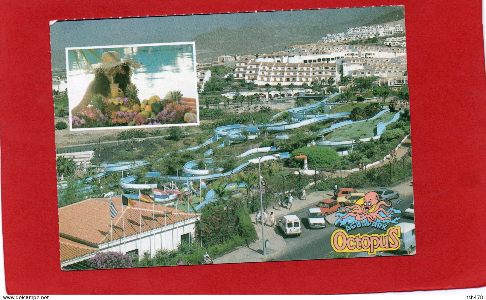 ESPAGNE---CANARIAS ?---OCTOPUS---AGUAPARK---voir 2 Scans - Other & Unclassified