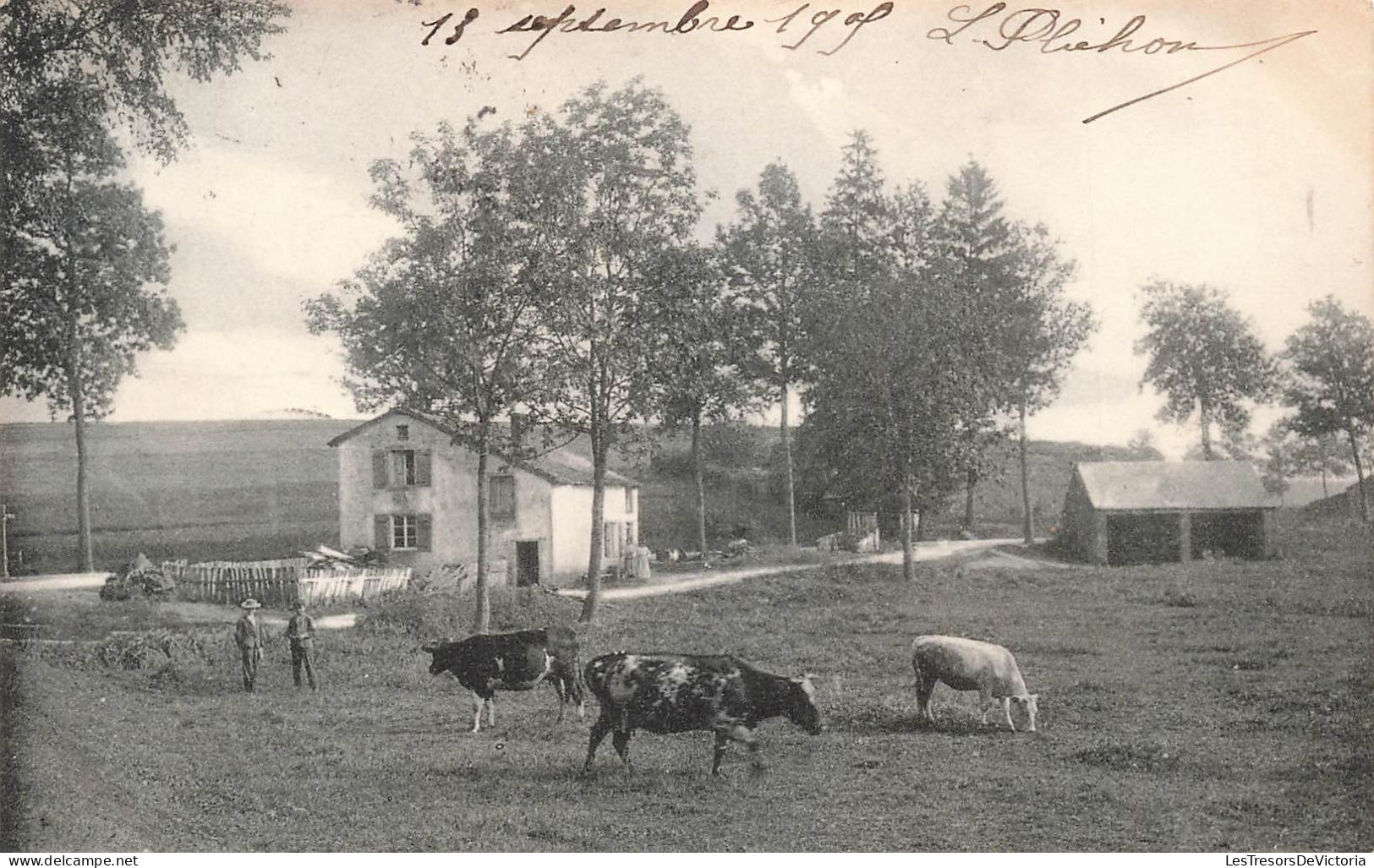 BELGIQUE - Paysage Des Andennes - Virton - Campagne - Vaches Près D'une Ferme - Nels - Carte Postale Ancienne - Virton