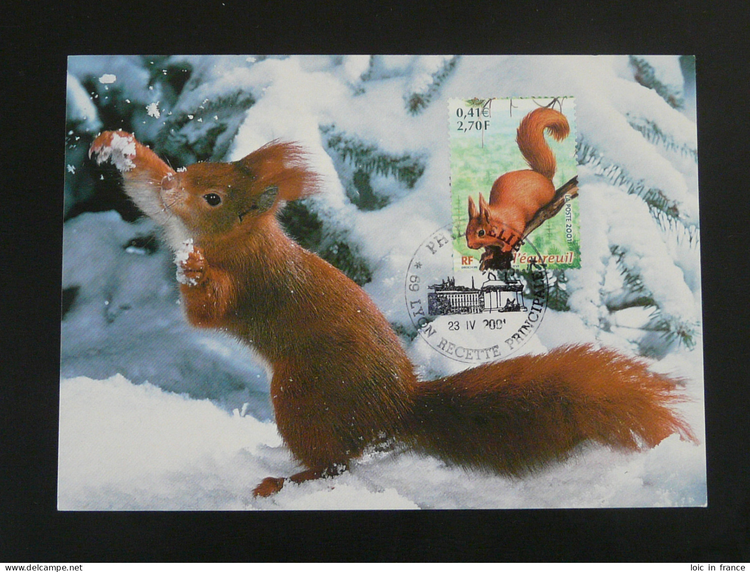 Carte Maximum Card écureuil Squirrel 69 Lyon 2001 - Rongeurs
