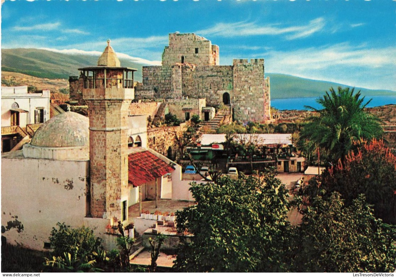 LIBAN - Byblos - Vue Sur La Citadelle Et La Mosqueée - Colorisé - Carte Postale - Lebanon