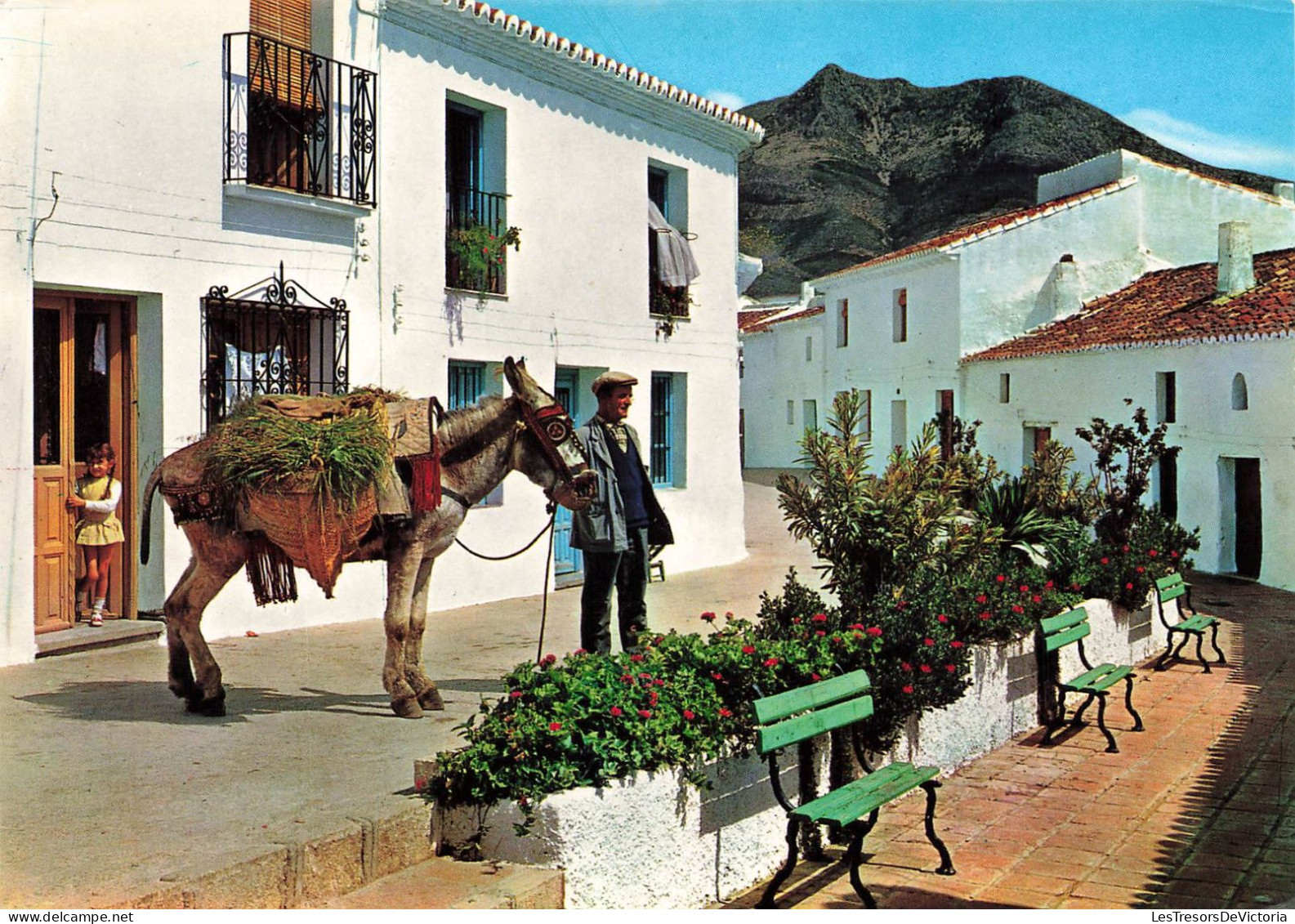 Espagne - Malaga - Benalmadena - Coin Typique Et La Chaine De Montagnes Au Fond - Colorisé - Carte Postale - Málaga