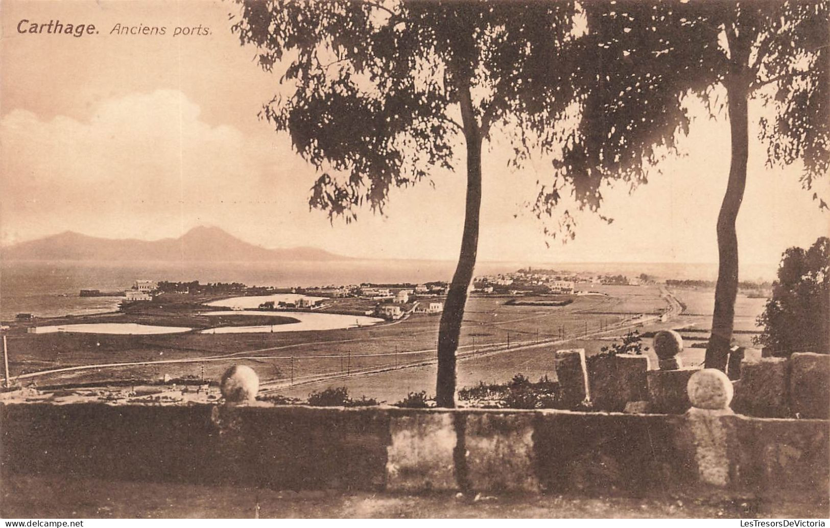TUNISIE - Carthage - Anciens Ports - Carte Postale Ancienne - Tunisie