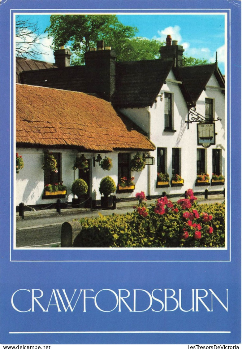 IRLANDE - Des Maisons Typiques De Crawfordsburn - Colorisé - Carte Postale - Andere & Zonder Classificatie