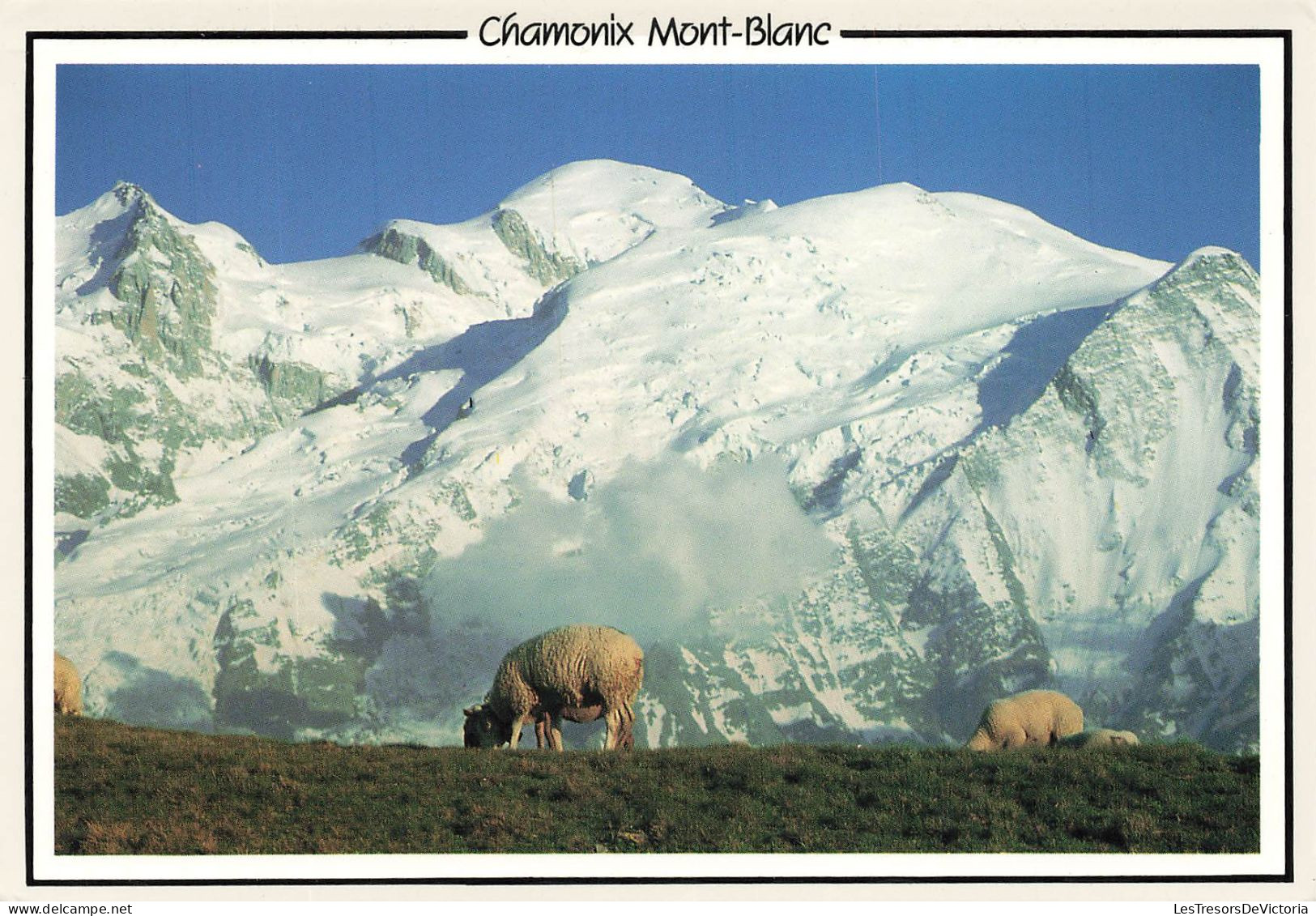 FRANCE - Chamonix Mont Blanc - Vue Sur Le Sommet - Colorisé - Carte Postale - Chamonix-Mont-Blanc
