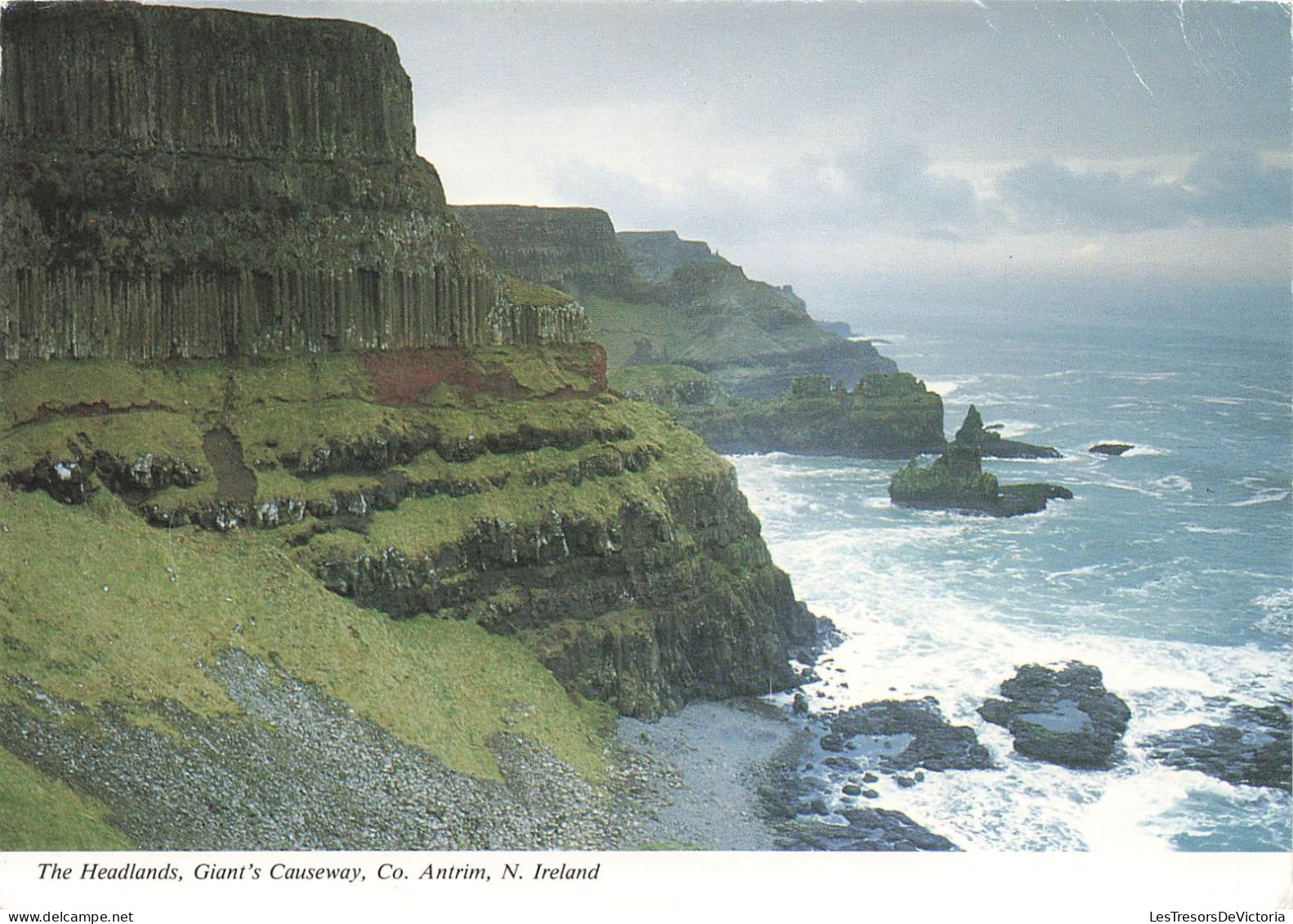 ETATS UNIS - San Francisco - The Headlands, Giant's Causeway - Colorisé - Carte Postale - San Francisco