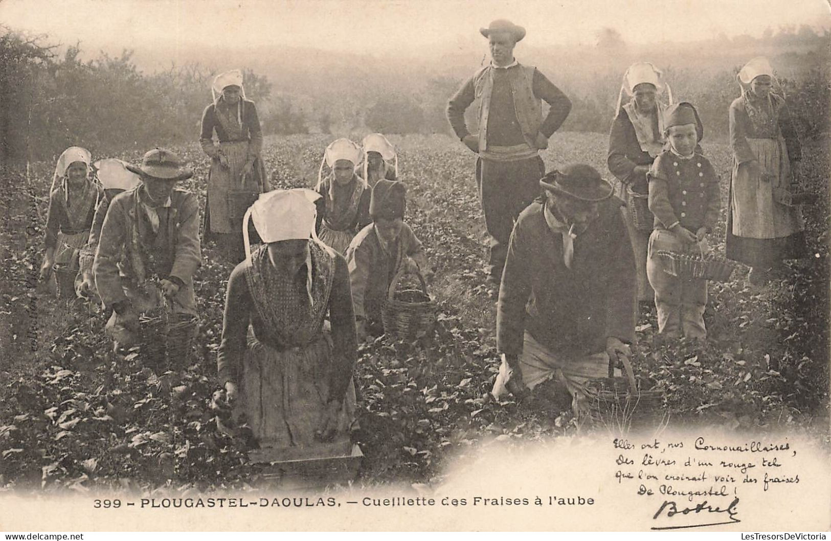 FRANCE - Plougastel Daoulas - Cueillette Des Fraises à L'aube - Carte Postale Ancienne - Plougastel-Daoulas