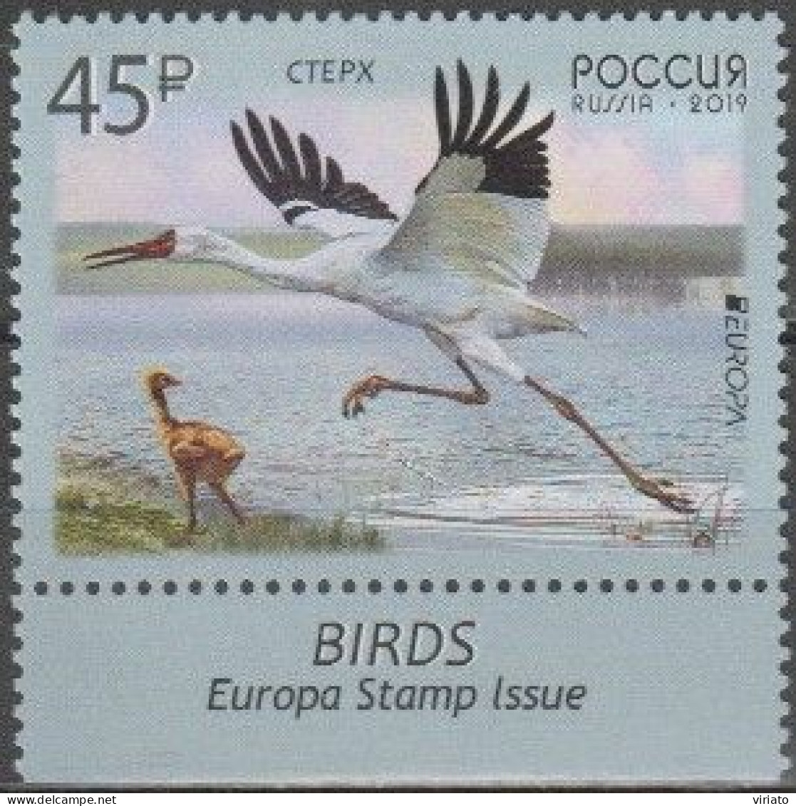 Russia 2019 (Mi 2654) - Siberian Crane (Leucogeranus Leucogeranus) - Collections, Lots & Series