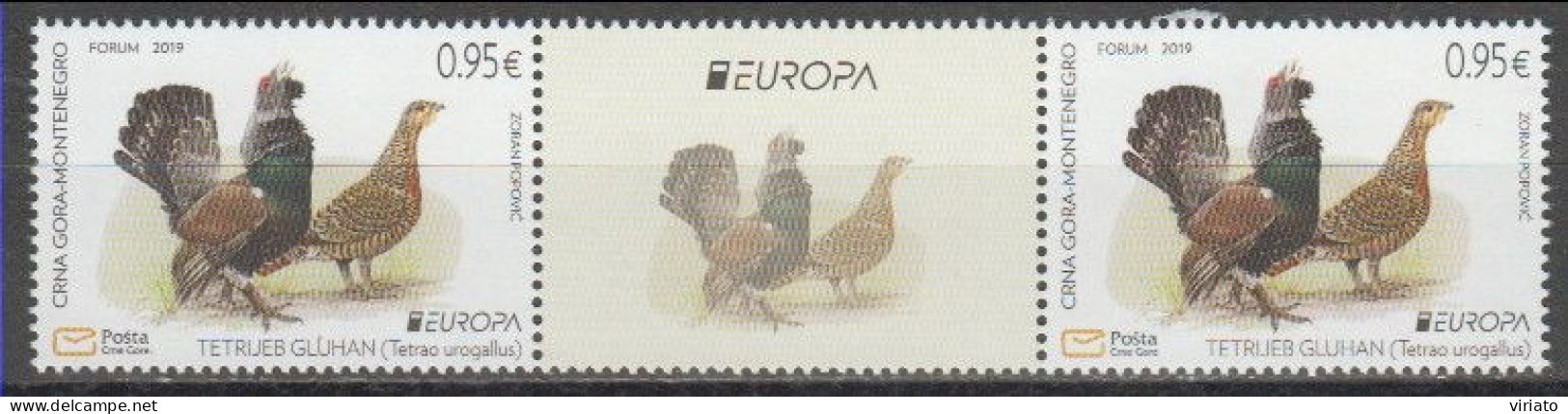 Montenegro 2019 (Mi 431) Tira - Capercaillie (Tetrao Urogallus) - Collections, Lots & Series