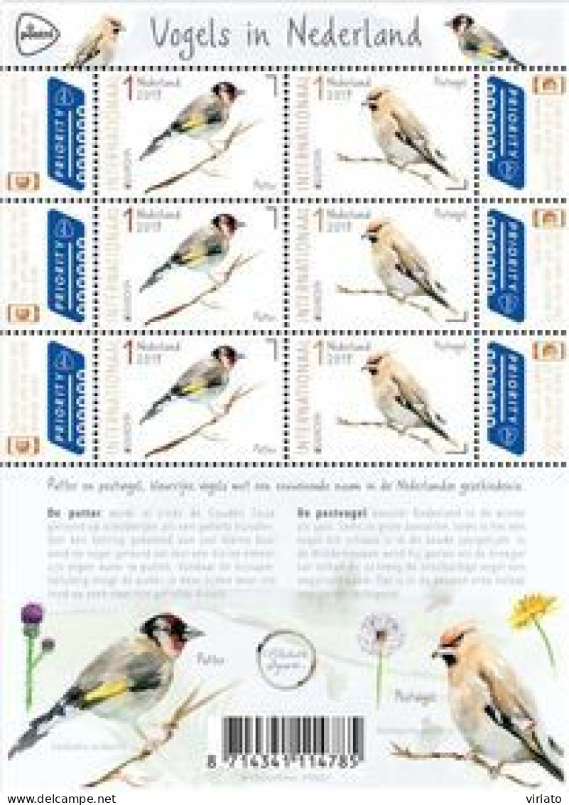Netherlands 2019 (Mi 3815KB) - European Goldfinch (Carduelis Carduelis), Bohemian Waxwing (Bombycilla Garrulus - Collections, Lots & Séries