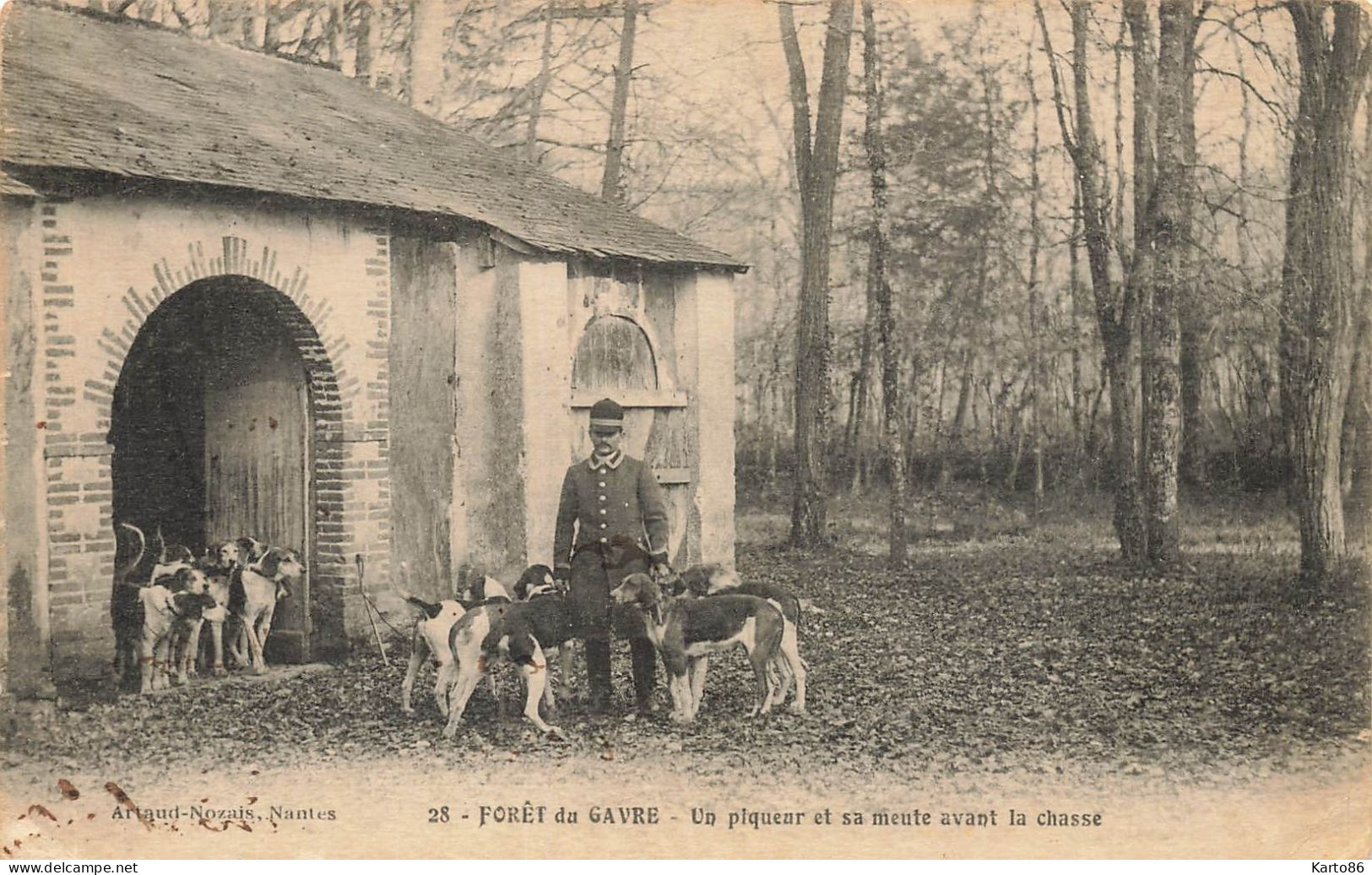 Le Gavre * La Forêt * Un Piqueur Et Sa Meute Avant La Chasse à Courre Vénerie - Le Gavre