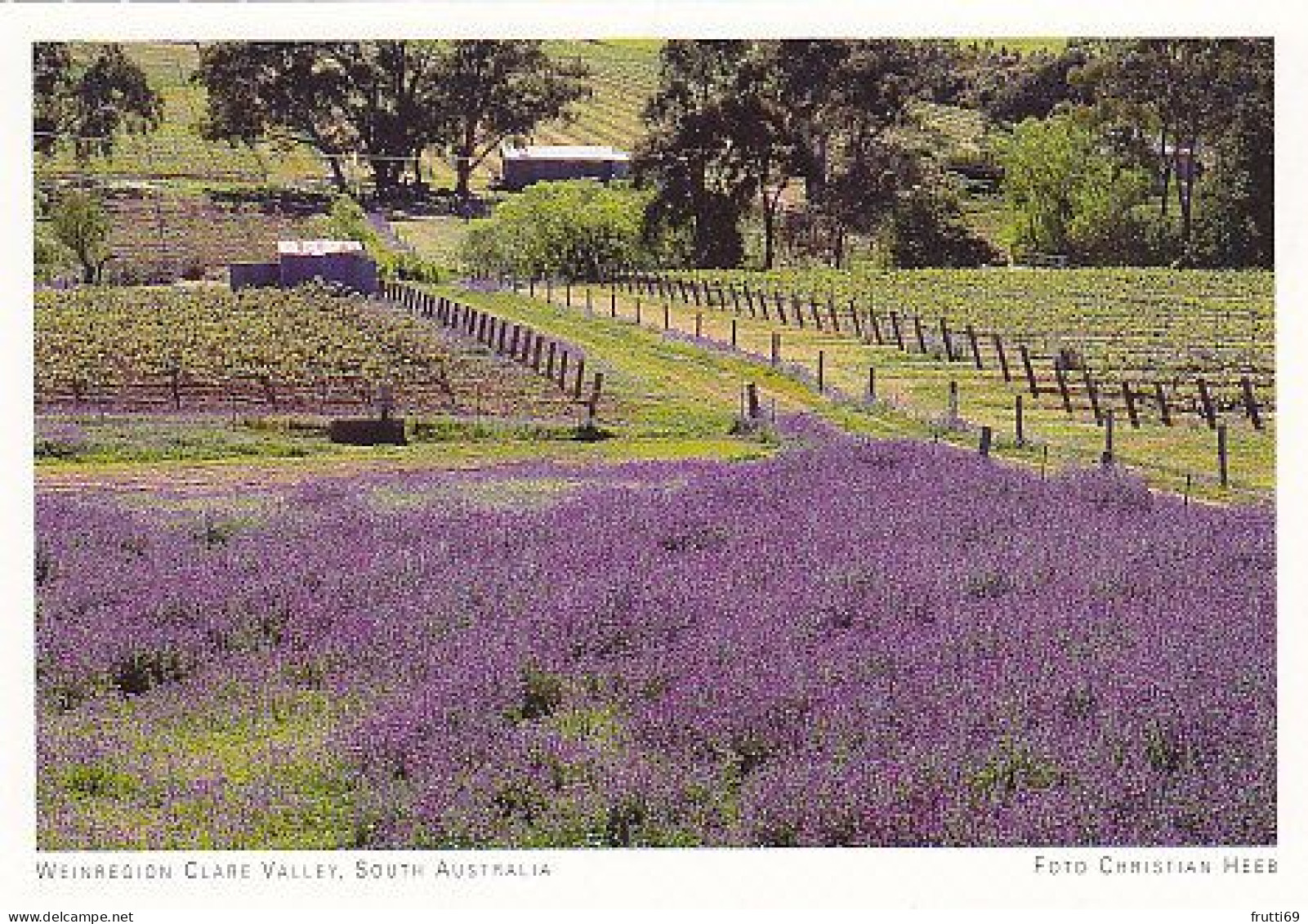 AK 186966 AUSTRALIA - Weinregion Clare Valley - Autres & Non Classés