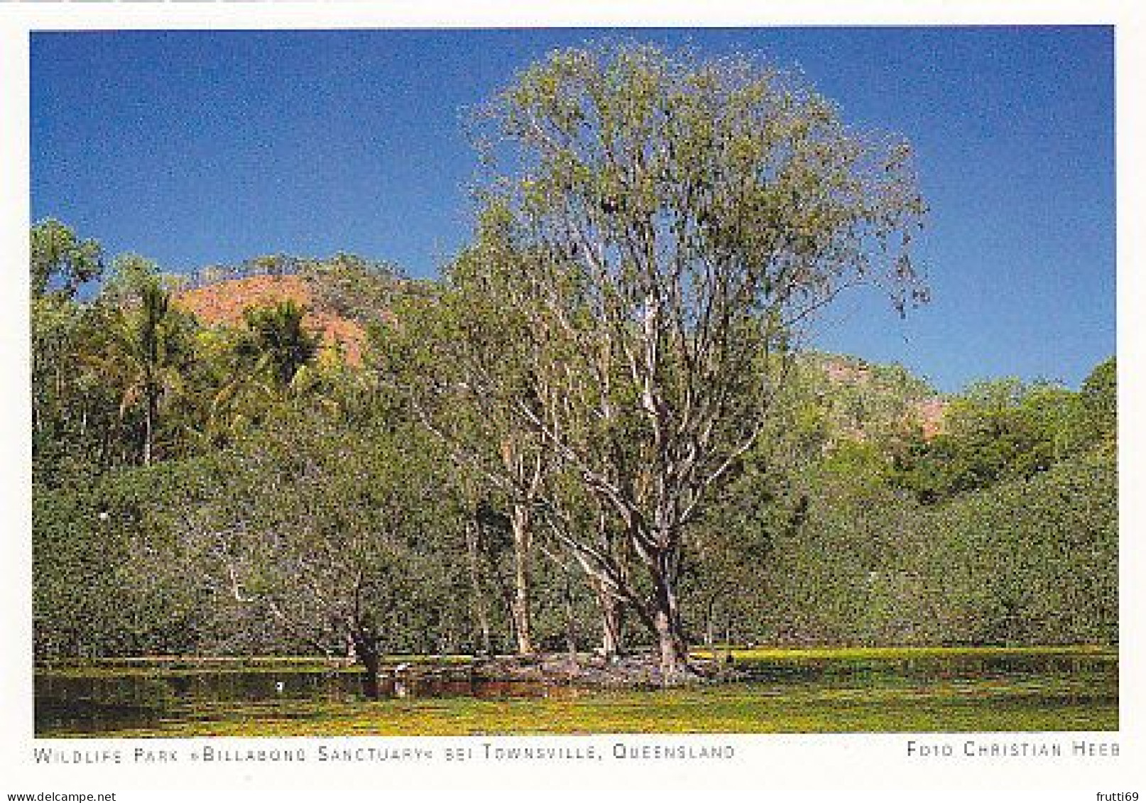 AK 186973 AUSTRALIA - Wildlife Park Billabong Sanctuary Bei Townsville - Townsville