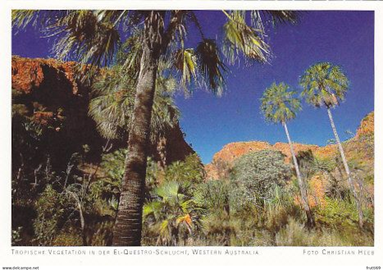 AK 186979 AUSTRALIA - Tropische Vegetation In Der El-Questro-Schlucht - Otros & Sin Clasificación