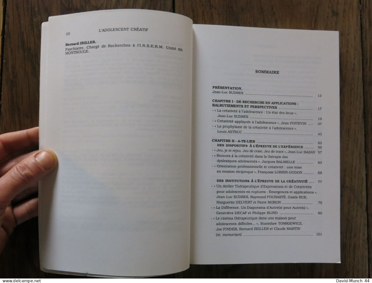 L'adolescent créatif de Jean-Luc Sudres et Raymond Fourasté. Presses Universitaires du Mirail. 1994