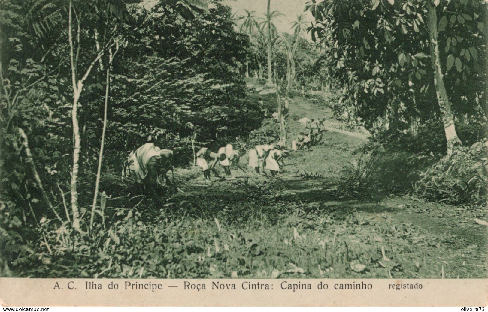 SÃO TOME E PRINCIPE - ILHA DO PRINCIPE - Roça Nova Cintra - Capina Do Caminho - Sao Tome Et Principe