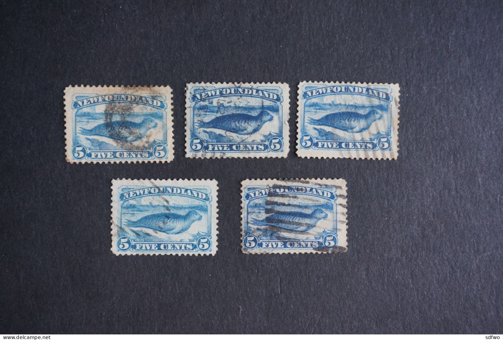 (T7) Newfoundland Canada Lot Of 5 Harp Seal 5c - Used - 1865-1902