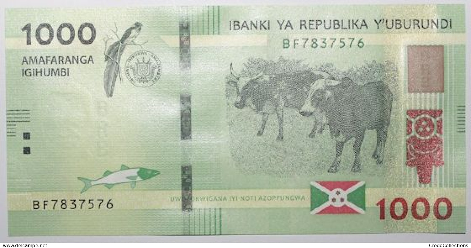 Burundi - 1000 Francs - 2021 - PICK 51b - NEUF - Burundi