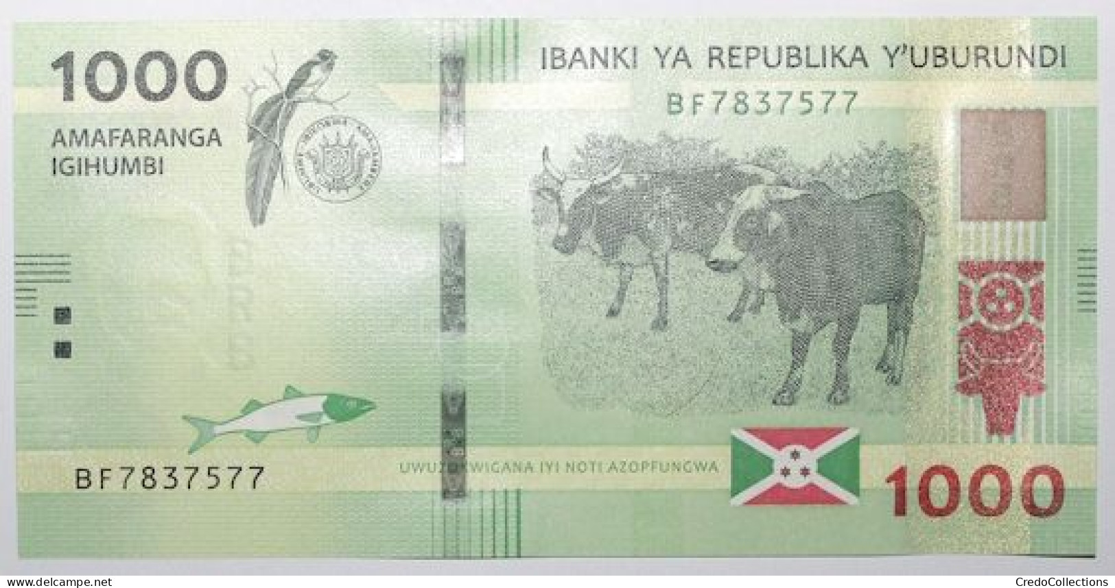 Burundi - 1000 Francs - 2021 - PICK 51b - NEUF - Burundi