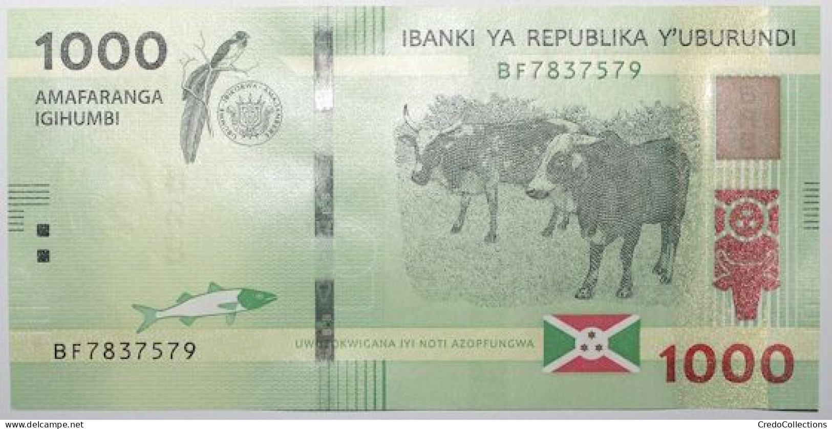 Burundi - 1000 Francs - 2021 - PICK 51b - NEUF - Burundi