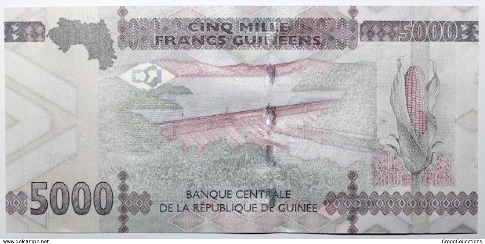 Guinée - 5000 Francs Guinéens - 2021 - PICK 49c - NEUF - Guinée