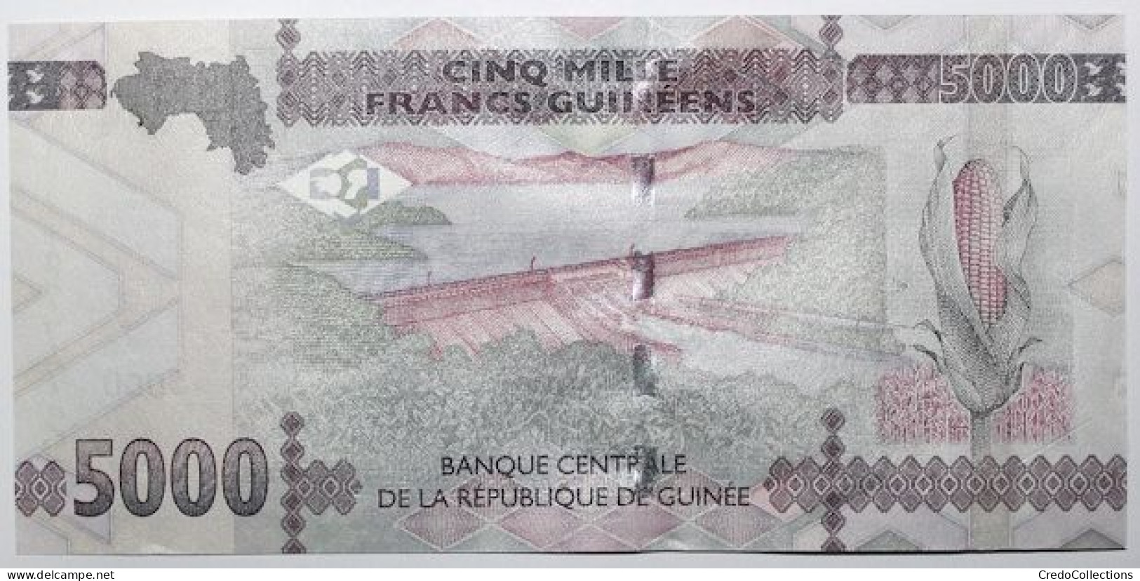 Guinée - 5000 Francs Guinéens - 2021 - PICK 49c - NEUF - Guinea