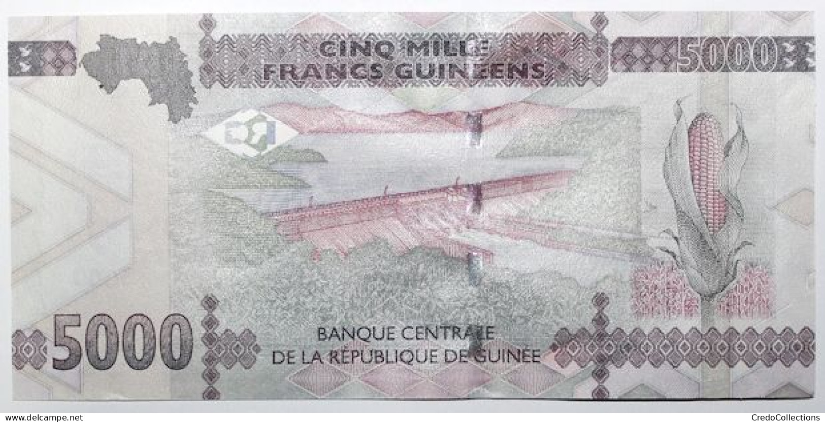 Guinée - 5000 Francs Guinéens - 2021 - PICK 49c - NEUF - Guinee