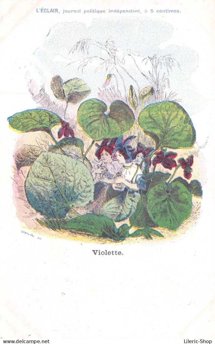 Publicité L'ECLAIR, Journal Politique - Fleurs Humanisées - Femmes "Violette" Signé Grandville  CPR - Werbepostkarten