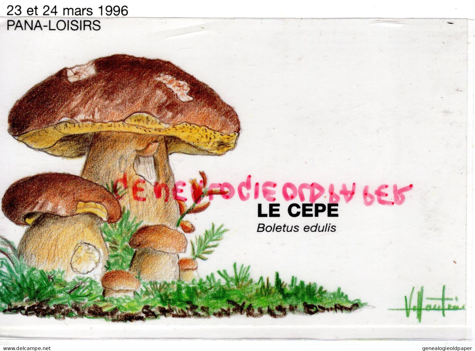 87- PANAZOL- LE CEPE -BOLET BOLETUS EDULIS- EXPOSITION CARTES POSTALES-1996- ILLUSTRATEUR VILLAUTREIX - Panazol