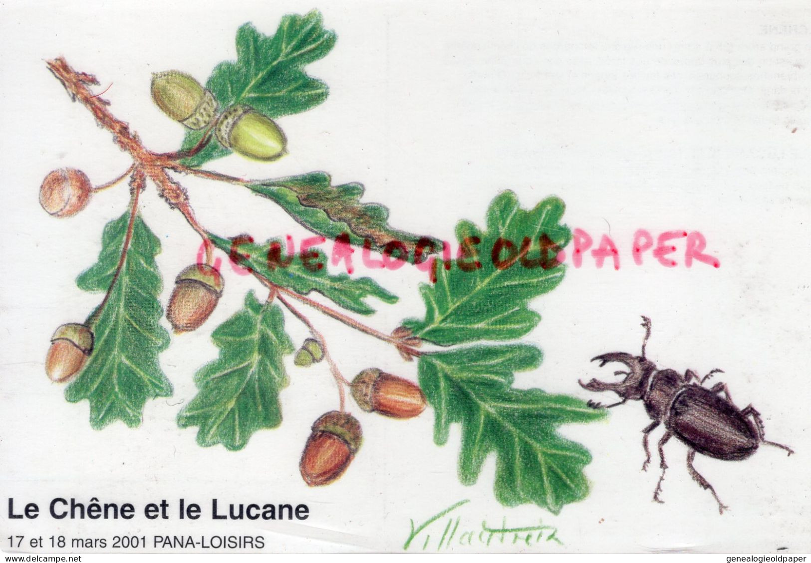 87- PANAZOL- LE CHENE ET LE LUCANE- CERF VOLANT LUCANUS- EXPOSITION CARTES POSTALES-2001- ILLUSTRATEUR VILLAUTREIX - Panazol