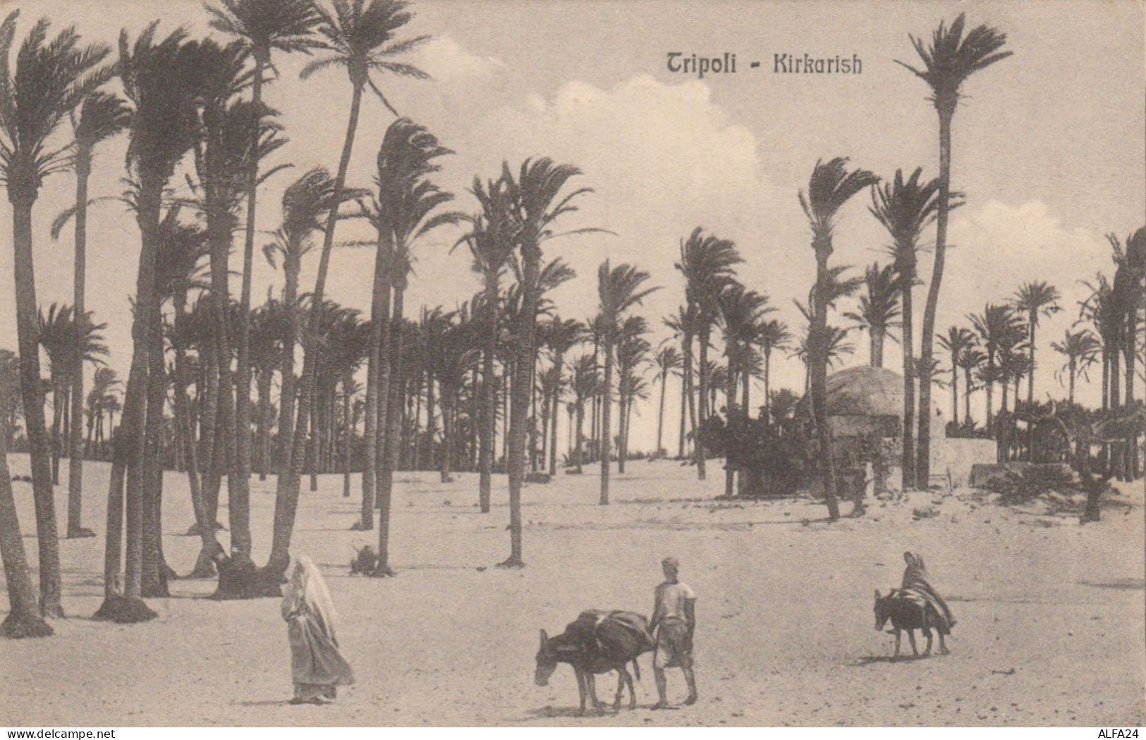 CARTOLINA NON VIAGGIATA PRIMI 900 TRIPOLI LIBIA COLONIE ITALIANE (TY628 - Libia