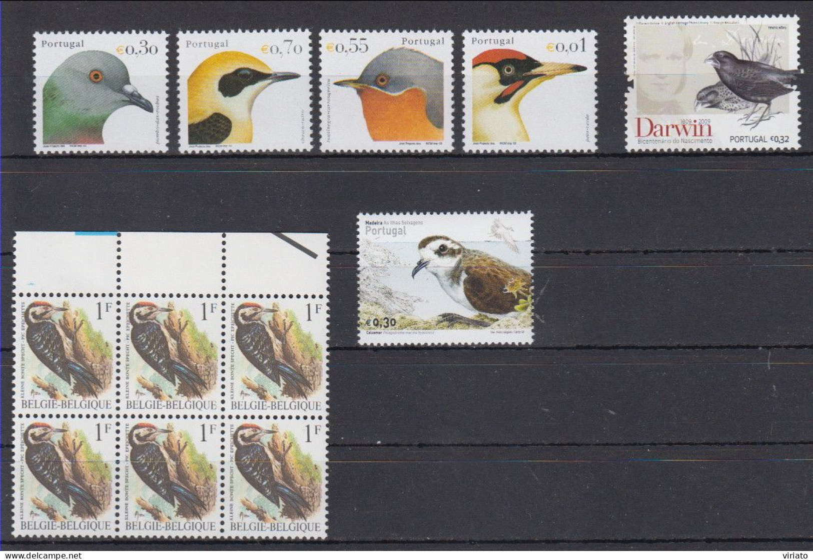 AVE238 - Birds Small Lot - Collections, Lots & Series