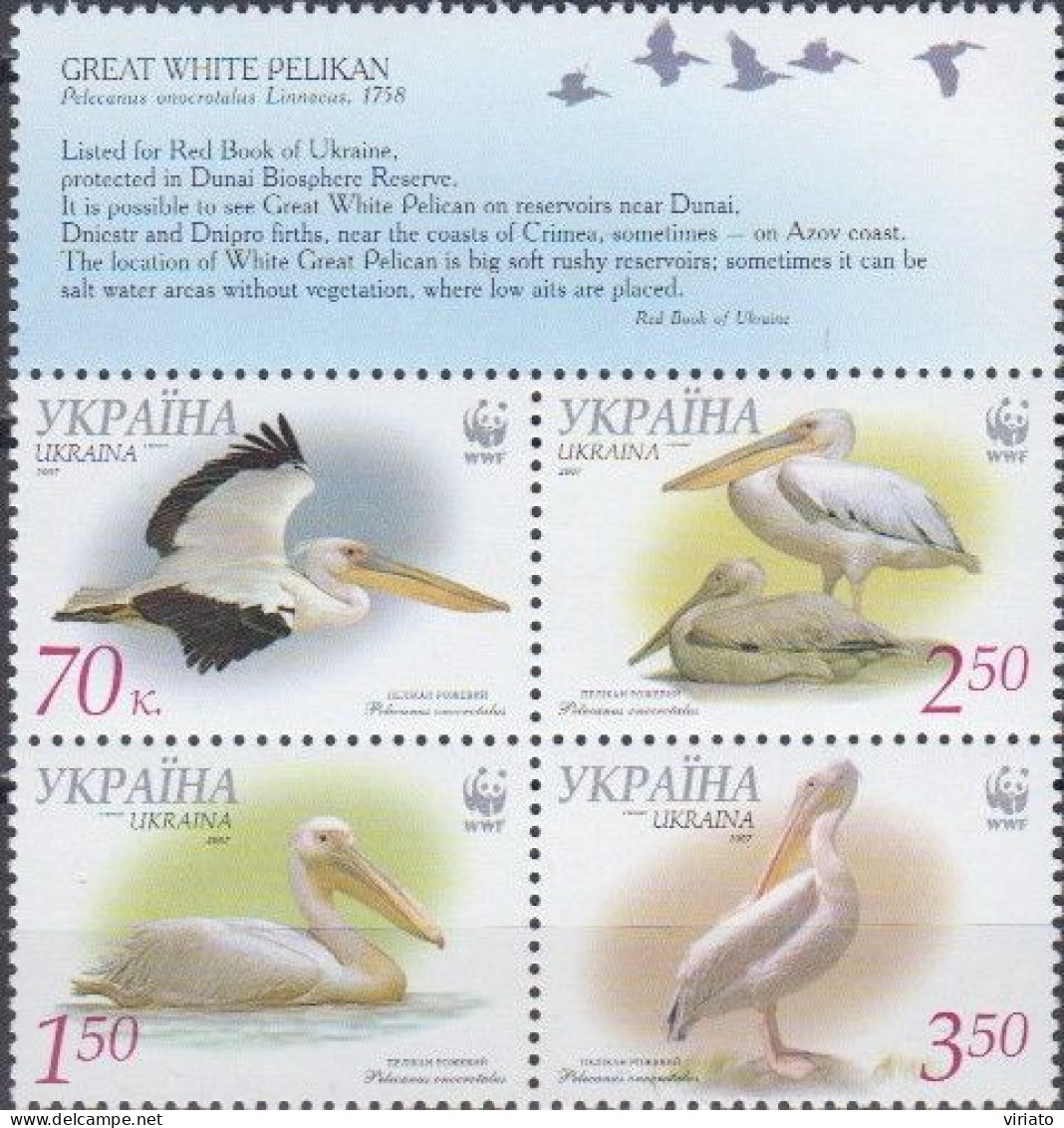 AVE112 - Ukraine 2007 (MNH) (Mi 897A899A) - Great White Pelican (Pelecanus Onocrotalus) - Collections, Lots & Séries